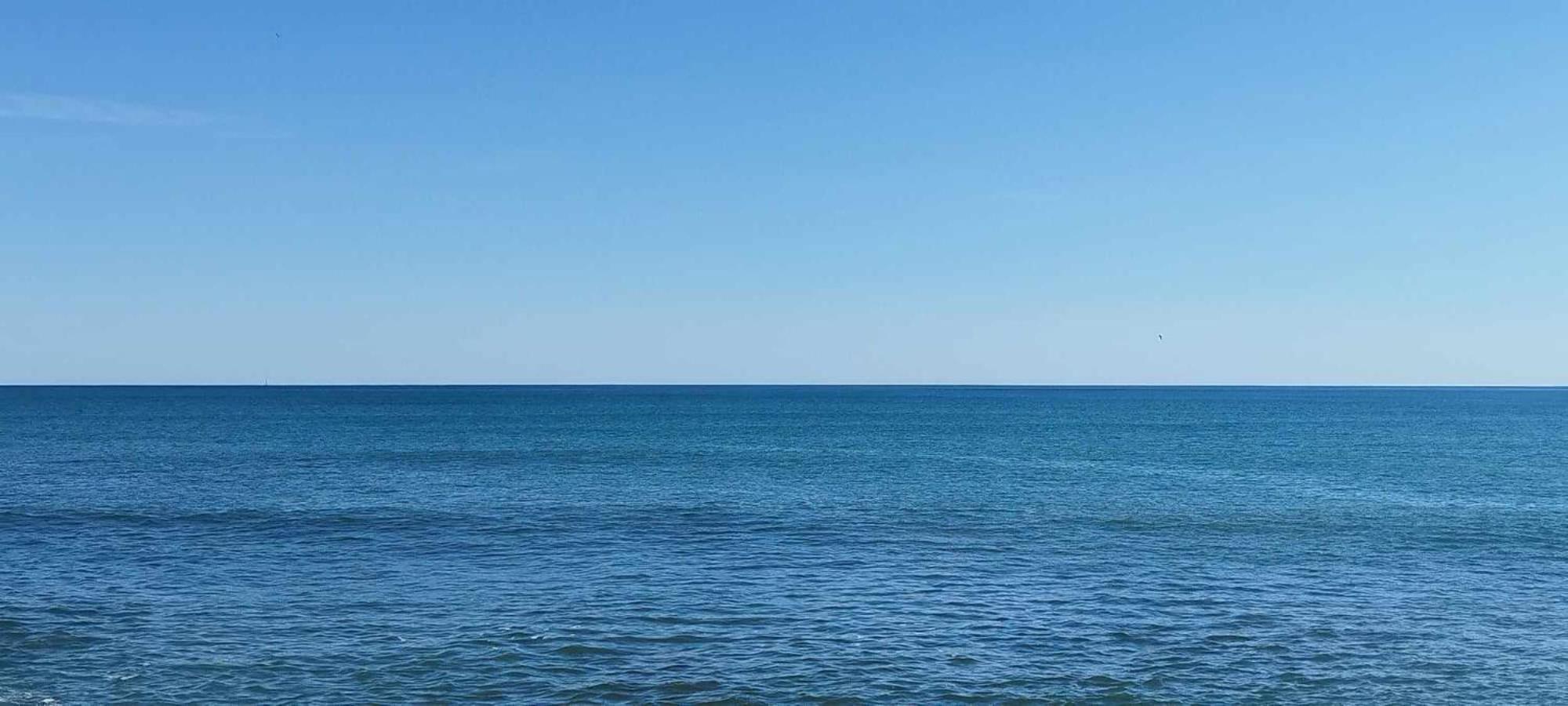 Seaview Playa Del Cura 50M Torrevieja Citycentre Apartment Exteriör bild