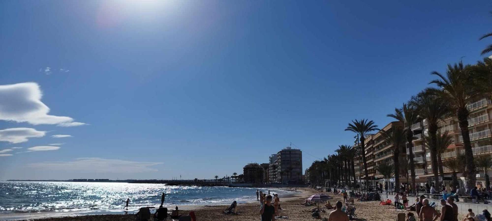 Seaview Playa Del Cura 50M Torrevieja Citycentre Apartment Exteriör bild