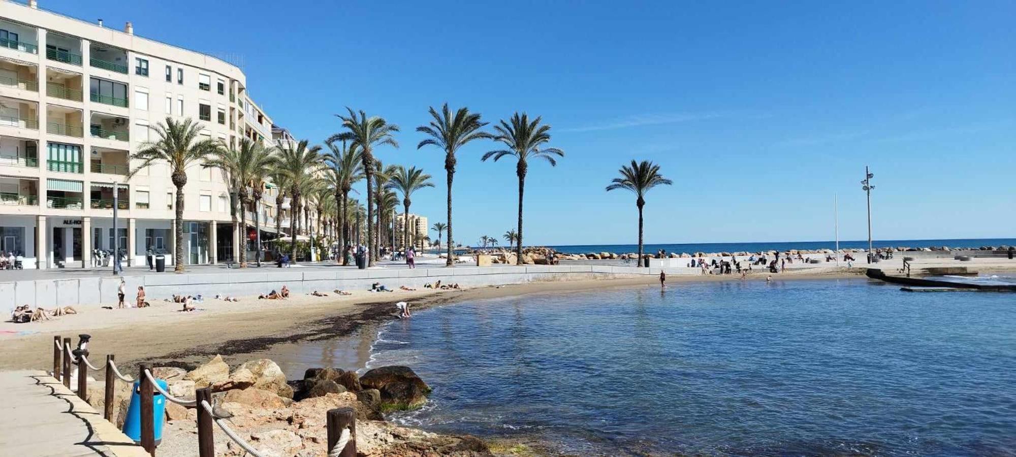 Seaview Playa Del Cura 50M Torrevieja Citycentre Apartment Exteriör bild