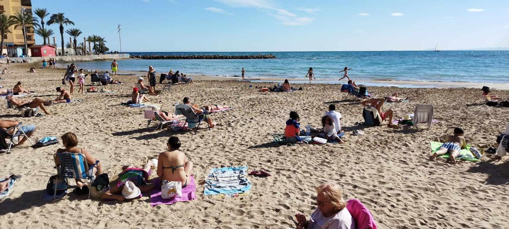 Seaview Playa Del Cura 50M Torrevieja Citycentre Apartment Exteriör bild