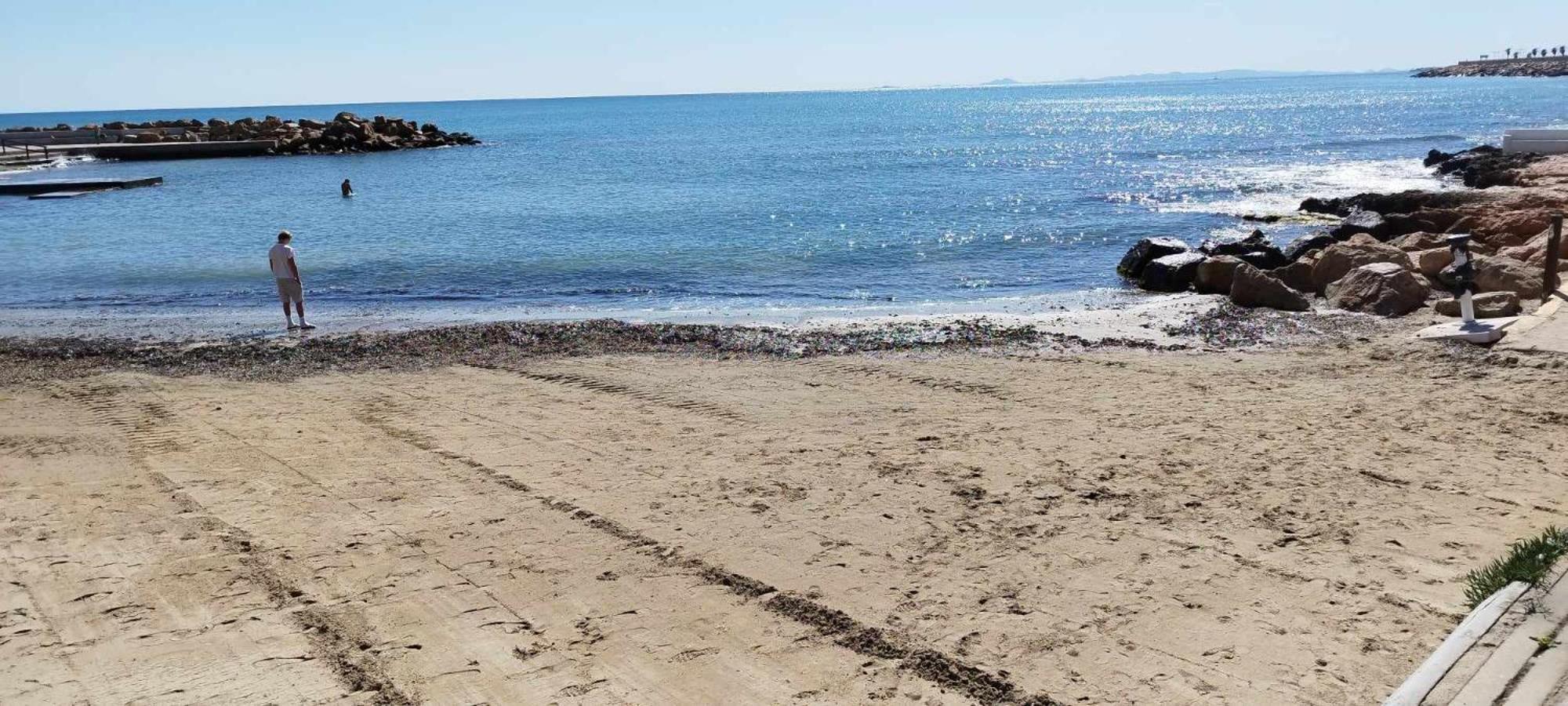 Seaview Playa Del Cura 50M Torrevieja Citycentre Apartment Exteriör bild