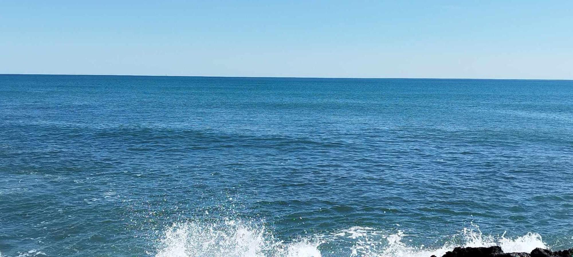 Seaview Playa Del Cura 50M Torrevieja Citycentre Apartment Exteriör bild