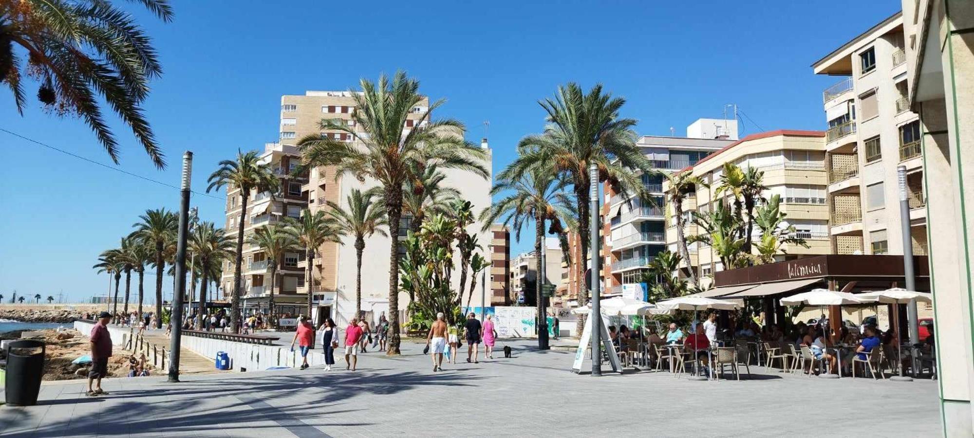Seaview Playa Del Cura 50M Torrevieja Citycentre Apartment Exteriör bild