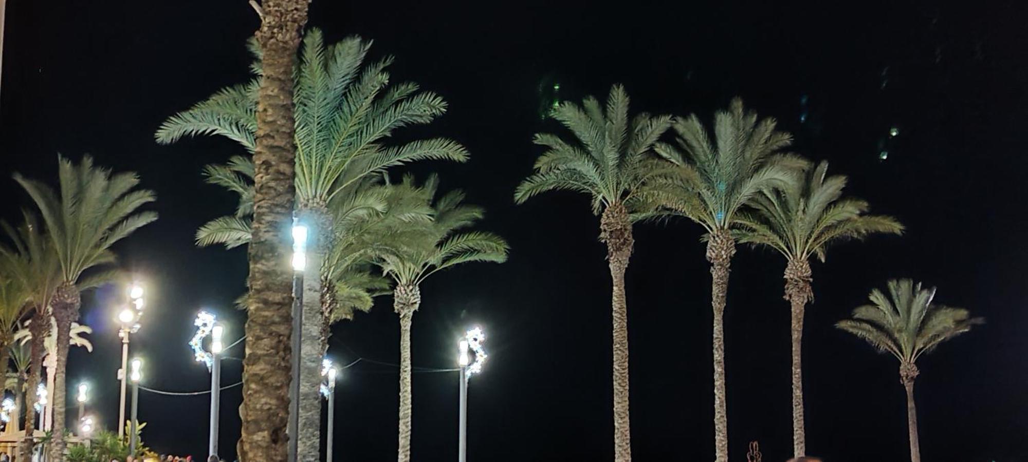 Seaview Playa Del Cura 50M Torrevieja Citycentre Apartment Exteriör bild
