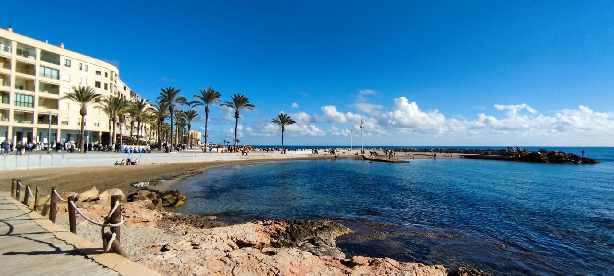 Seaview Playa Del Cura 50M Torrevieja Citycentre Apartment Exteriör bild