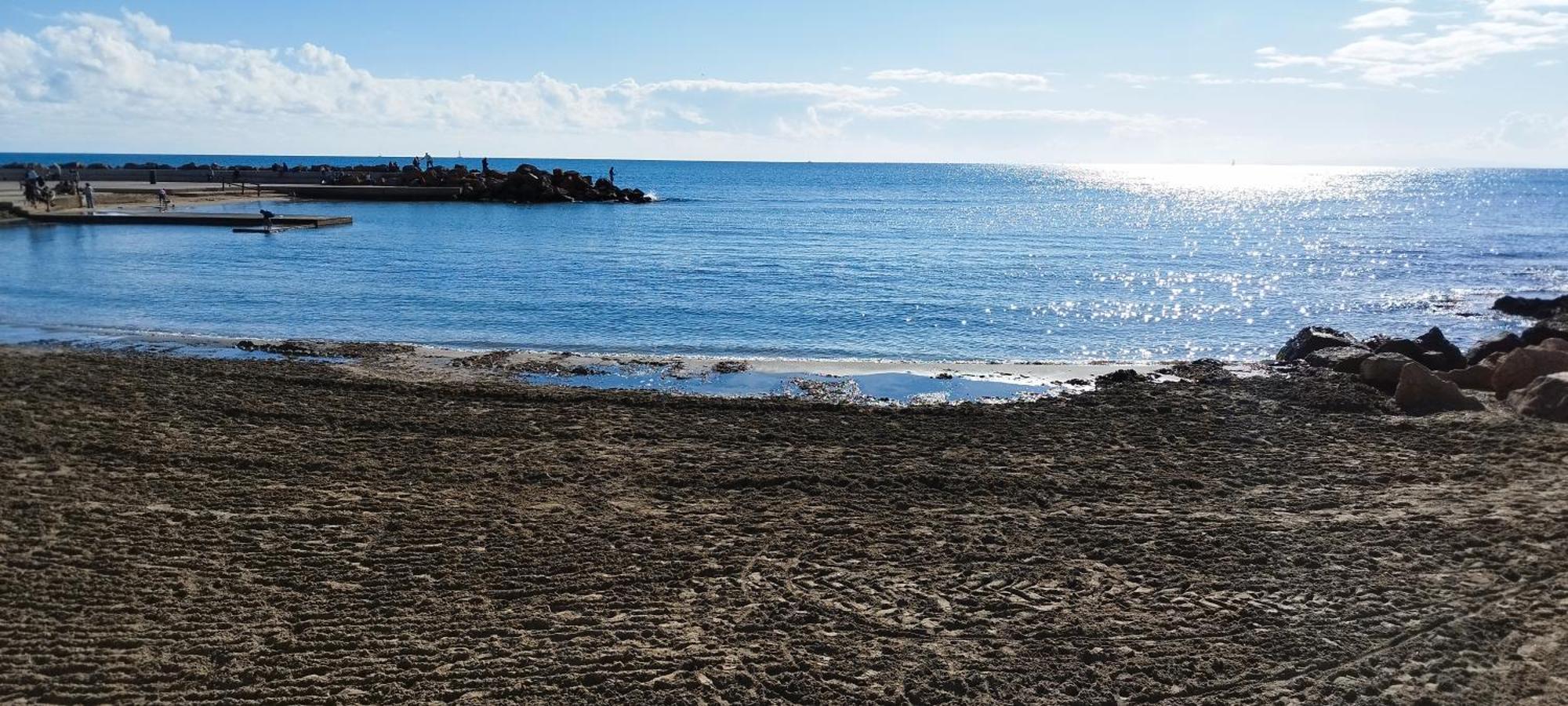 Seaview Playa Del Cura 50M Torrevieja Citycentre Apartment Exteriör bild