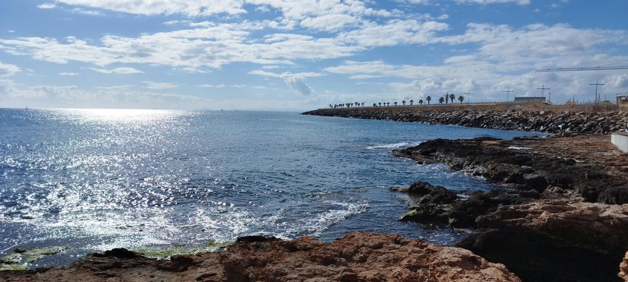 Seaview Playa Del Cura 50M Torrevieja Citycentre Apartment Exteriör bild